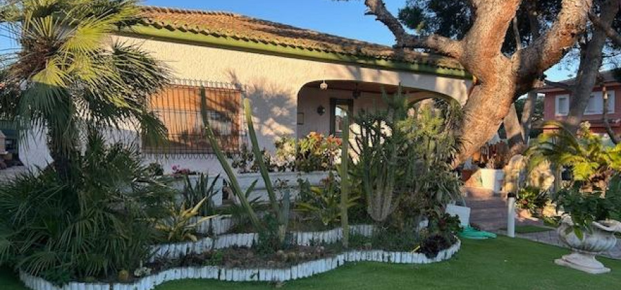 Dehesa de campoamor, Alicante, 3 Bedrooms Bedrooms, ,2 BathroomsBathrooms,Villa,Resale,0,65945246465788304