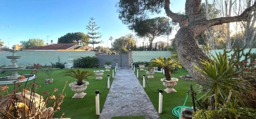 Dehesa de campoamor, Alicante, 3 Bedrooms Bedrooms, ,2 BathroomsBathrooms,Villa,Resale,0,65945246465788304
