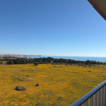 Apartment in Costa Blanca South, Torrevieja