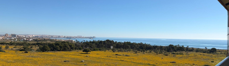 Apartment in Costa Blanca South, Torrevieja
