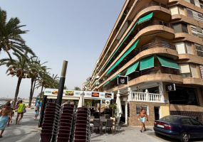 Torrevieja, Alicante, 3 Bedrooms Bedrooms, ,2 BathroomsBathrooms,Apartment,Resale,0,75632142607602768 Torrevieja, Alicante, 3 Bedrooms Bedrooms, ,2 BathroomsBathrooms,Apartment,Resale,0,75632142607602768