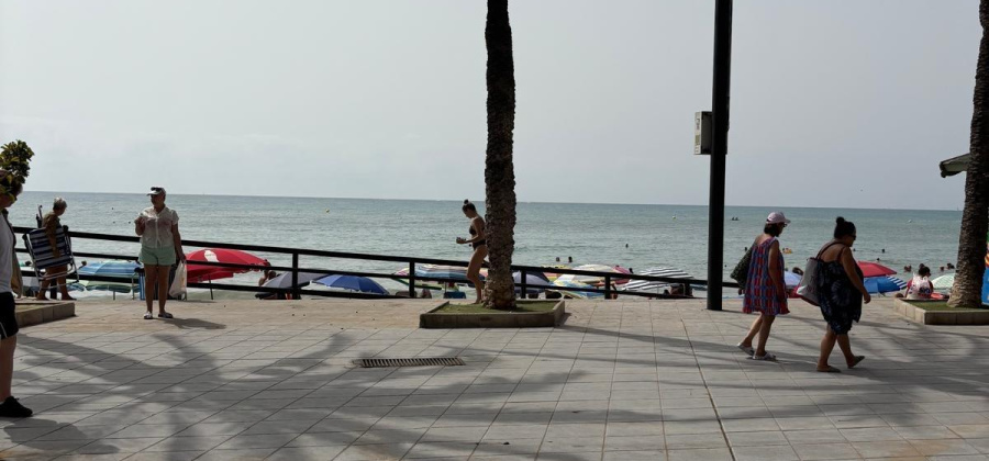 Torrevieja, Alicante, 3 Bedrooms Bedrooms, ,2 BathroomsBathrooms,Apartment,Resale,0,75632142607602768