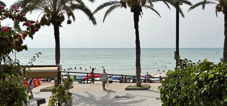 Torrevieja, Alicante, 3 Bedrooms Bedrooms, ,2 BathroomsBathrooms,Apartment,Resale,0,75632142607602768