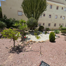 Apartment in Costa Blanca South, Torrevieja
