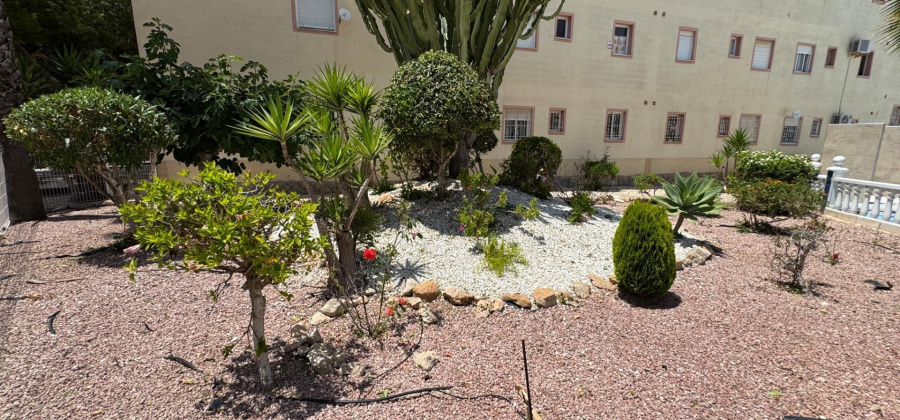Torrevieja, Alicante, 3 Bedrooms Bedrooms, ,2 BathroomsBathrooms,Apartment,Resale,0,75632156553545536