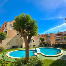 Apartment in Costa Blanca South, Torrevieja