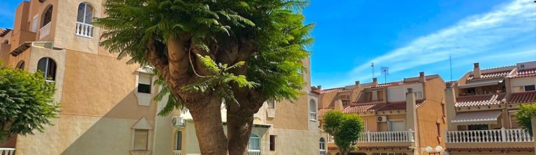 Apartment in Costa Blanca South, Torrevieja