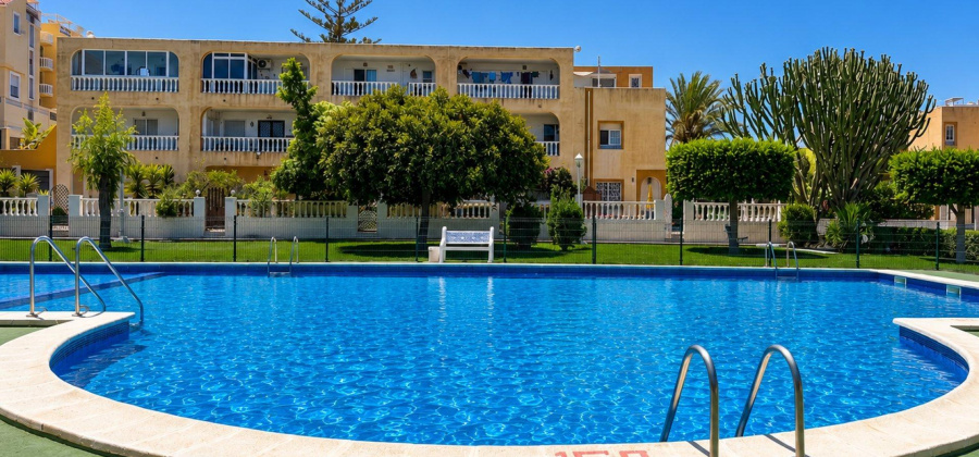 Torrevieja, Alicante, 1 Bedroom Bedrooms, ,1 BathroomBathrooms,Bungalow,Resale,0,75632143883671904