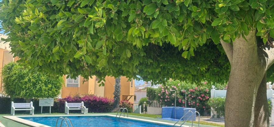 Torrevieja, Alicante, 1 Bedroom Bedrooms, ,1 BathroomBathrooms,Bungalow,Resale,0,75632143883671904