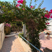 Villa in Costa Blanca South, Torremendo