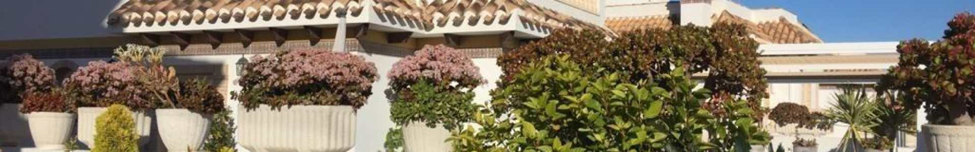 Villa in Costa Blanca South, Torrevieja