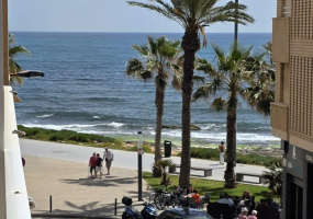 Torrevieja, Alicante, 3 Bedrooms Bedrooms, ,1 BathroomBathrooms,Apartment,Resale,0,7563269392690072 Torrevieja, Alicante, 3 Bedrooms Bedrooms, ,1 BathroomBathrooms,Apartment,Resale,0,7563269392690072
