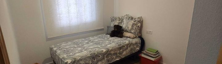 Apartment in Costa Blanca South, Torrevieja