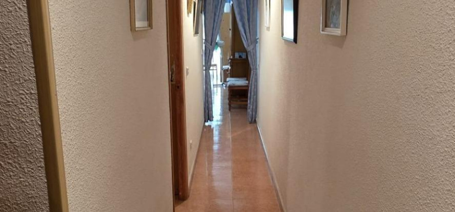 Torrevieja, Alicante, 1 Bedroom Bedrooms, ,1 BathroomBathrooms,Apartment,Resale,0,75632241882399856