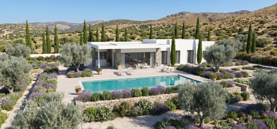 Pinoso, Alicante, 3 Bedrooms Bedrooms, ,2 BathroomsBathrooms,Villa,New,0,209559169973142144