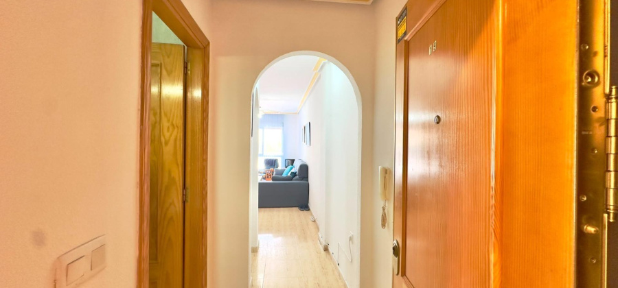 Torrevieja, Alicante, 1 Bedroom Bedrooms, ,1 BathroomBathrooms,Apartment,Resale,0,75632208197440864