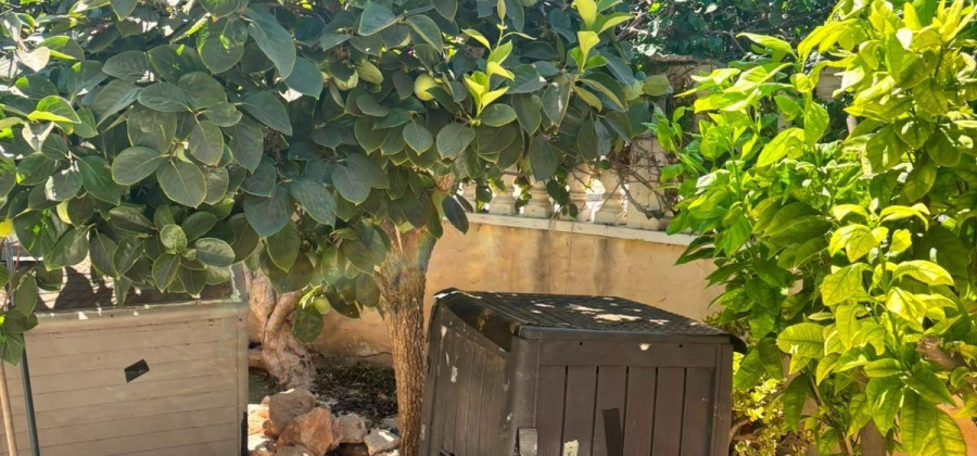 Orihuela Costa, Alicante, 2 Bedrooms Bedrooms, ,1 BathroomBathrooms,Bungalow,Resale,0,75632280618165184