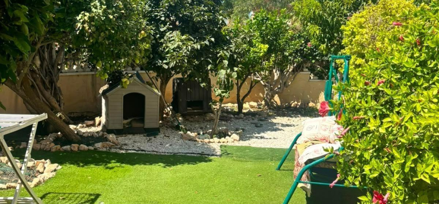 Orihuela Costa, Alicante, 2 Bedrooms Bedrooms, ,1 BathroomBathrooms,Bungalow,Resale,0,75632280618165184