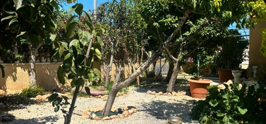Orihuela Costa, Alicante, 2 Bedrooms Bedrooms, ,1 BathroomBathrooms,Bungalow,Resale,0,75632280618165184
