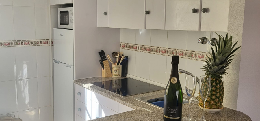 Playa Flamenca, Alicante, 2 Bedrooms Bedrooms, ,1 BathroomBathrooms,Apartment,Resale,0,103186177995896512