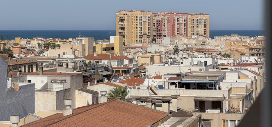 Torrevieja, Alicante, 1 Bedroom Bedrooms, ,1 BathroomBathrooms,Apartment,Resale,0,75632216702928240