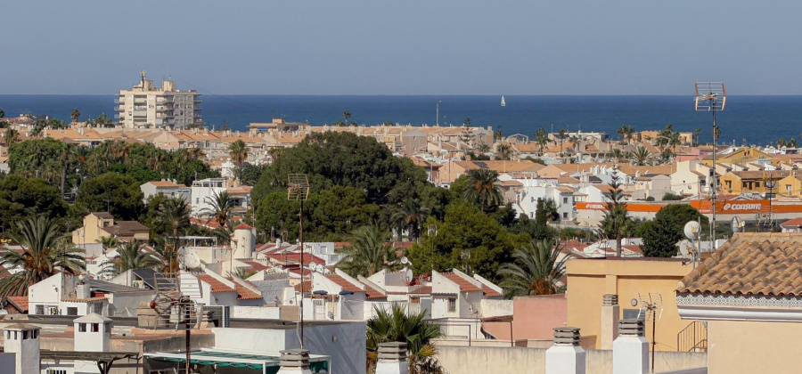 Torrevieja, Alicante, 1 Bedroom Bedrooms, ,1 BathroomBathrooms,Apartment,Resale,0,75632216702928240