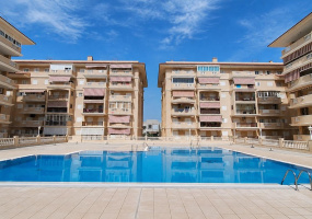 Torrevieja, Alicante, 1 Bedroom Bedrooms, ,1 BathroomBathrooms,Apartment,Resale,0,75632231947126176