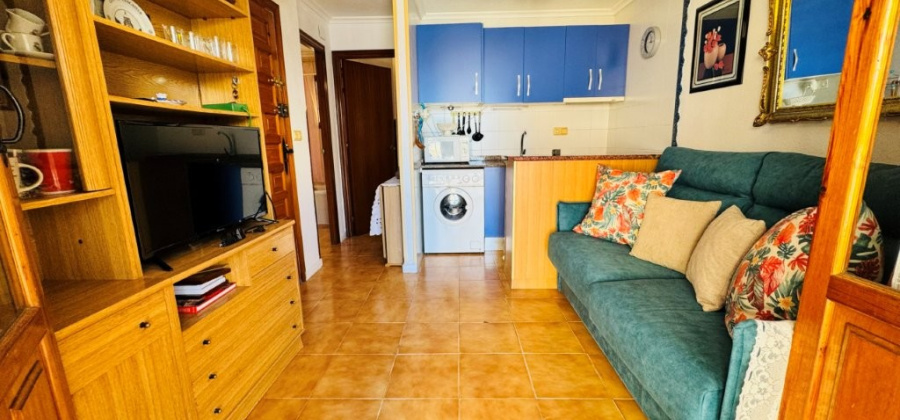 La Mata, Alicante, 1 Bedroom Bedrooms, ,1 BathroomBathrooms,Apartment,Resale,0,291685109875128640