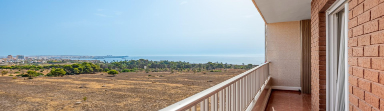 Apartment in Costa Blanca South, Torrevieja
