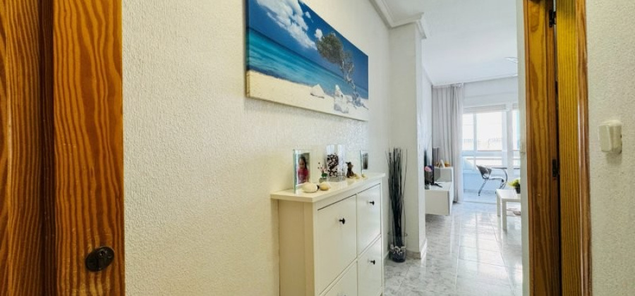 La Mata, Alicante, 1 Bedroom Bedrooms, ,1 BathroomBathrooms,Apartment,Resale,0,291685108802319232