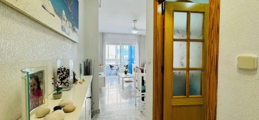 La Mata, Alicante, 1 Bedroom Bedrooms, ,1 BathroomBathrooms,Apartment,Resale,0,291685108802319232
