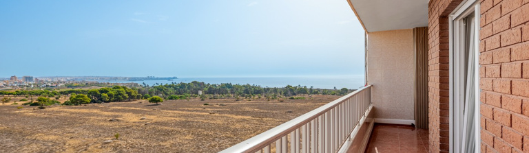 Apartment in Costa Blanca South, Orihuela Costa