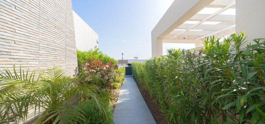 Algorfa, Alicante, 2 Bedrooms Bedrooms, ,3 BathroomsBathrooms,Villa,Resale,0,75632165626858048