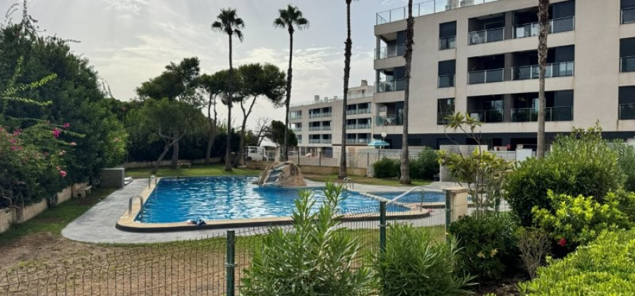 La Mata, Alicante, 3 Bedrooms Bedrooms, ,1 BathroomBathrooms,Apartment,Resale,0,29168578771225776