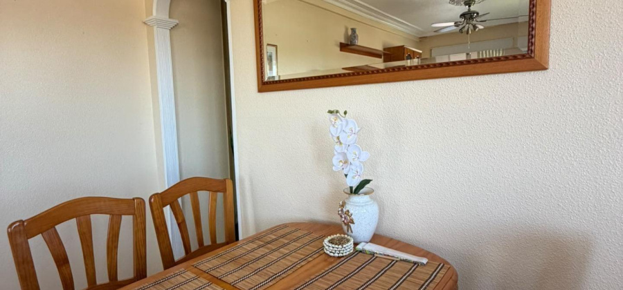 Torrevieja, Alicante, 1 Bedroom Bedrooms, ,1 BathroomBathrooms,Apartment,Resale,0,75632164166144896