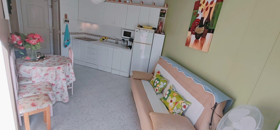 San Miguel de Salinas, Alicante, 1 Bedroom Bedrooms, ,1 BathroomBathrooms,Apartment,Resale,0,75632148486784928
