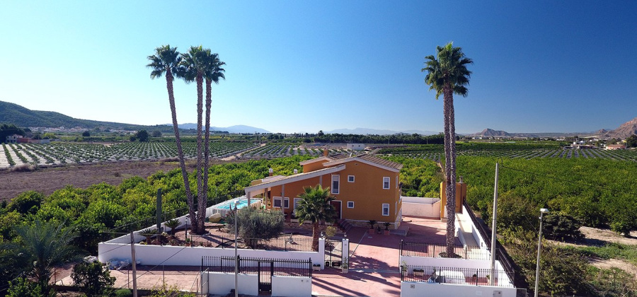 Orihuela, Alicante, 5 Bedrooms Bedrooms, ,3 BathroomsBathrooms,Country House or Finca,Resale,0,103186362691984000