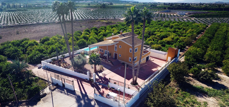 Orihuela, Alicante, 5 Bedrooms Bedrooms, ,3 BathroomsBathrooms,Country House or Finca,Resale,0,103186362691984000