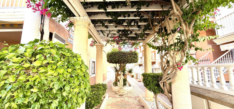 Torrevieja, Alicante, 1 Bedroom Bedrooms, ,1 BathroomBathrooms,Apartment,Resale,0,75632142846949488