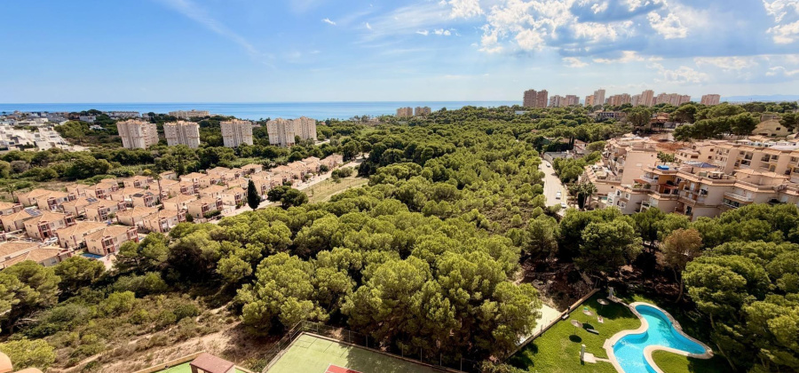 Orihuela Costa, Alicante, 3 Bedrooms Bedrooms, ,2 BathroomsBathrooms,Townhouse,Resale,0,75632155530318688