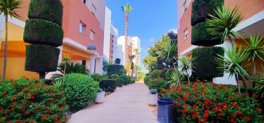 Torrevieja, Alicante, 3 Bedrooms Bedrooms, ,2 BathroomsBathrooms,Apartment,Resale,0,75632275686413680