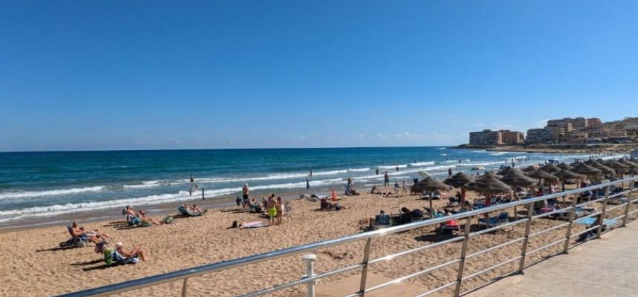 Torrevieja, Alicante, 1 Bedroom Bedrooms, ,1 BathroomBathrooms,Apartment,Resale,0,75632244882903744