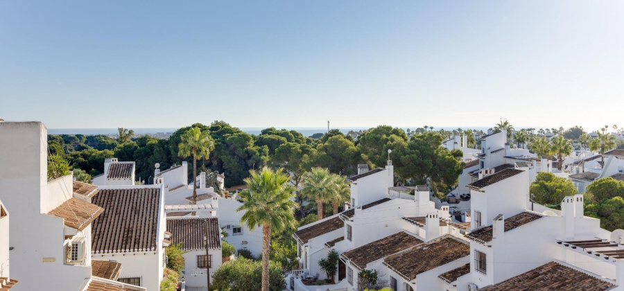 Orihuela Costa, Alicante, 2 Bedrooms Bedrooms, ,1 BathroomBathrooms,Bungalow,Resale,0,75632104509695856