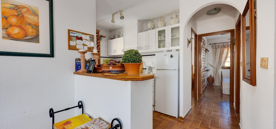 Orihuela Costa, Alicante, 2 Bedrooms Bedrooms, ,1 BathroomBathrooms,Bungalow,Resale,0,75632104509695856
